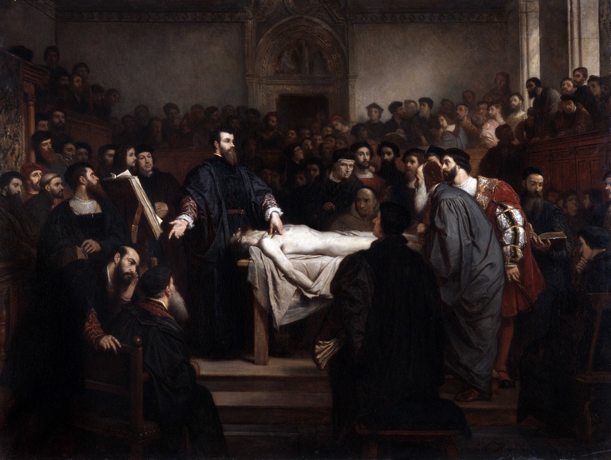 Anatomia lecon. André Vesale (1514-1564), anatomista flamengo (Andrea Vesalius ou Andries Van Wesel) em Pádua (Padova), Itália de Unbekannter Künstler