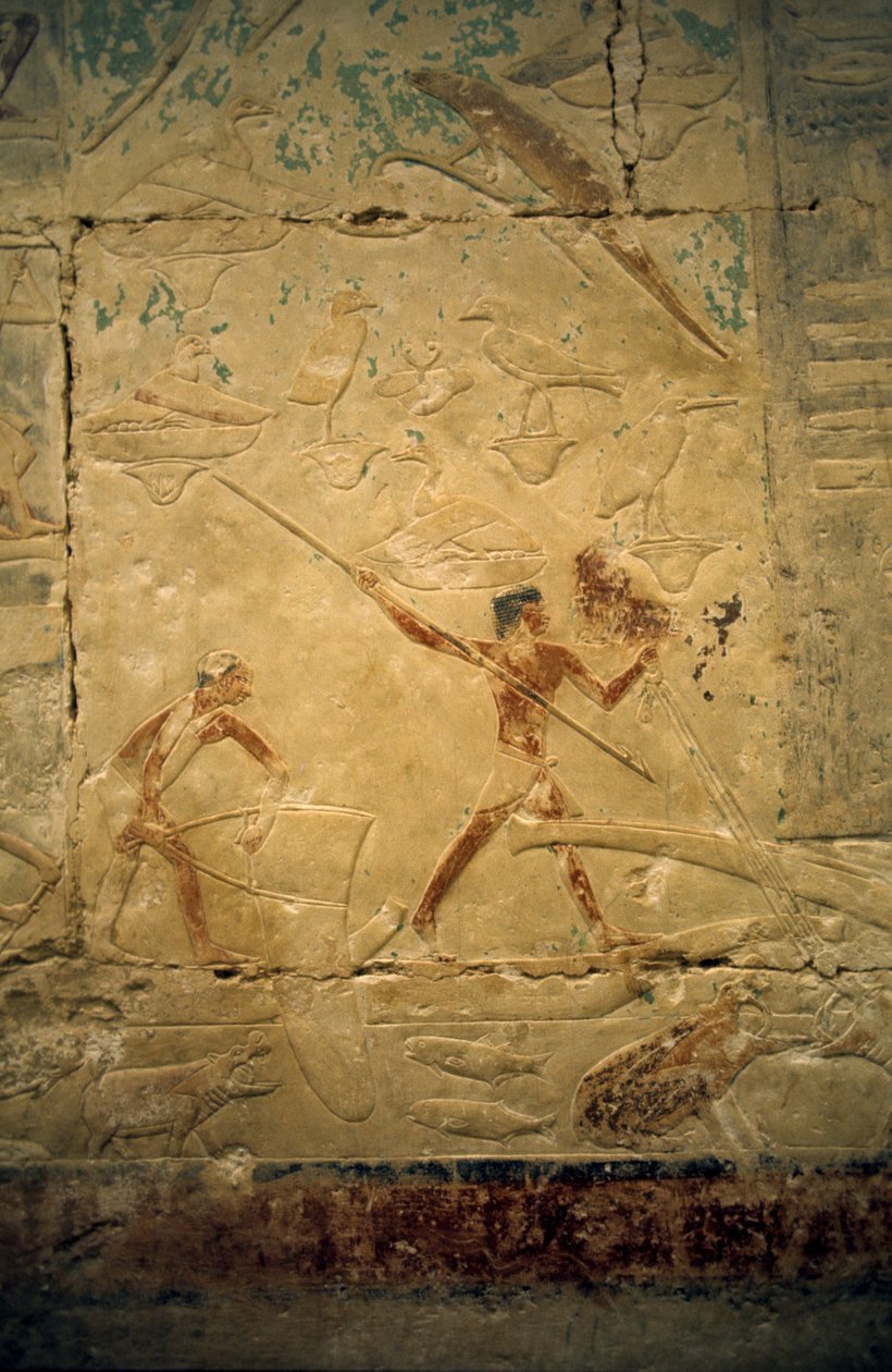 Antigo Egipto: Saqqqarah (ou Saqqara ou Sakkarah): necrópole do Antigo Império, túmulo de nobres. Detalhe dos relevos que representam uma cena de pesca. de Leopold Blonder