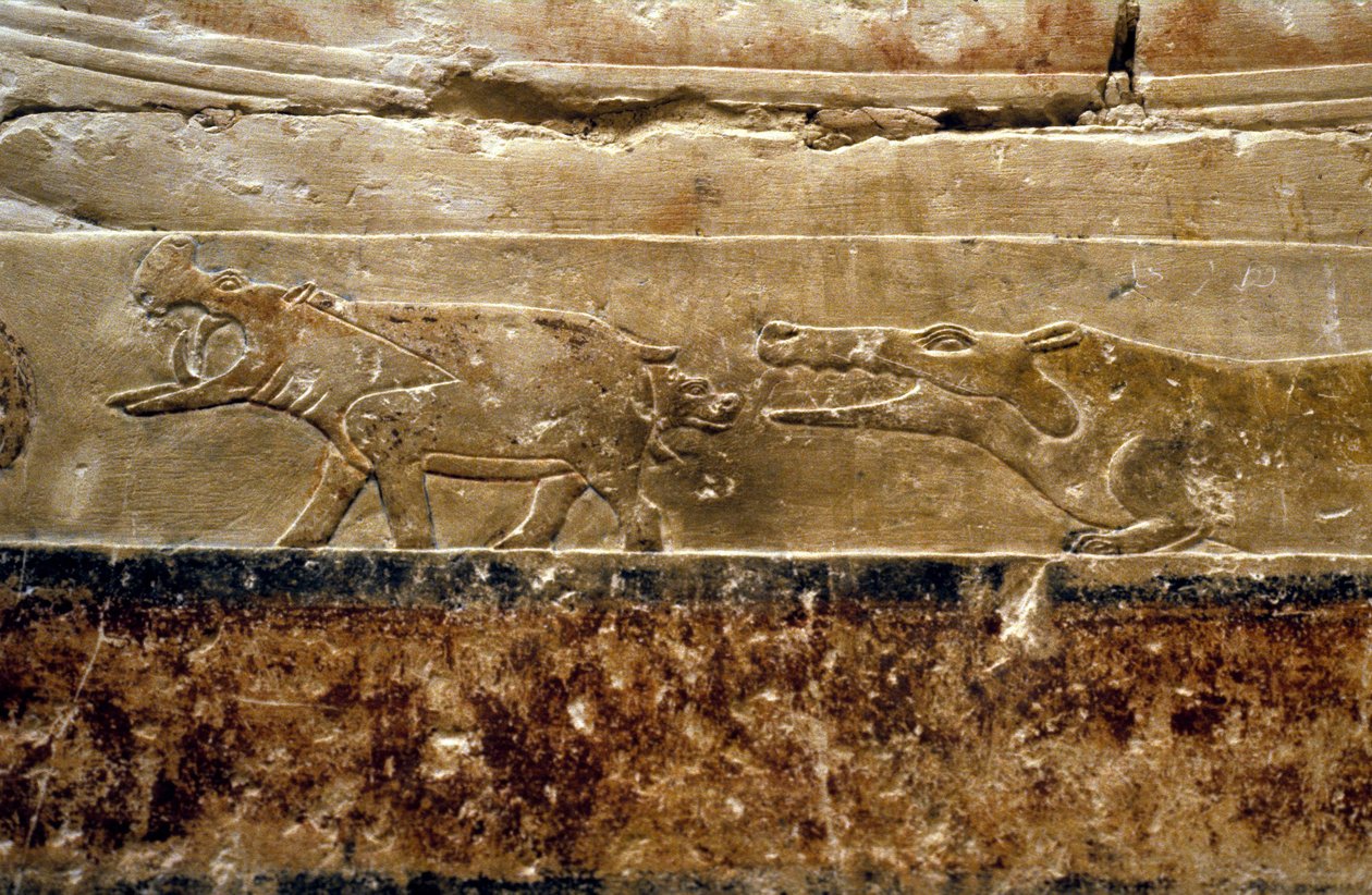 Antigo Egito: Saqqarah (ou Saqqara ou Sakkarah): túmulo de Ti (oficial sob a 5ª dinastia. Detalhe representando hipopótamos. de Leopold Blonder