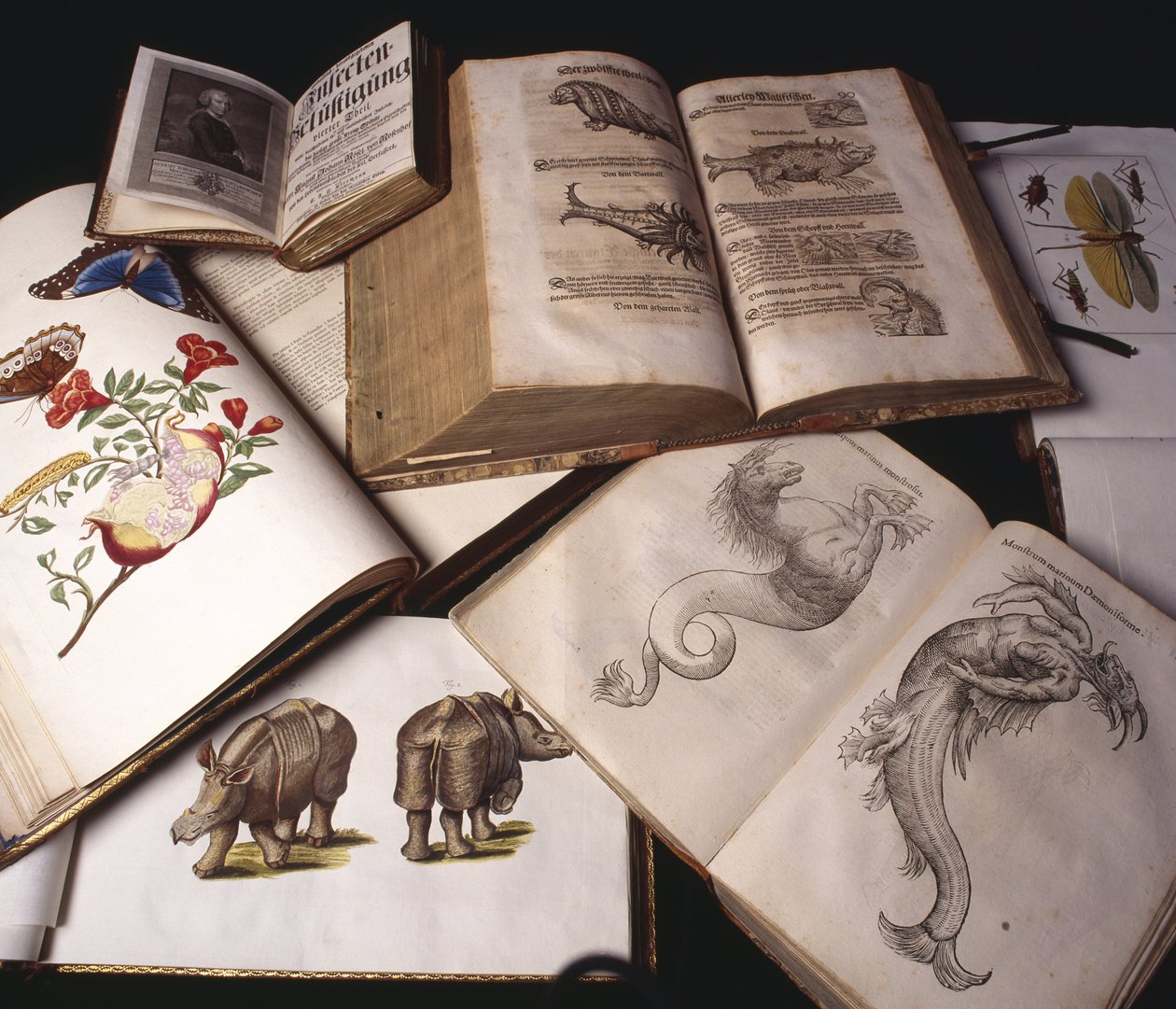 Livros de Zoologia Antigua de Unbekannt