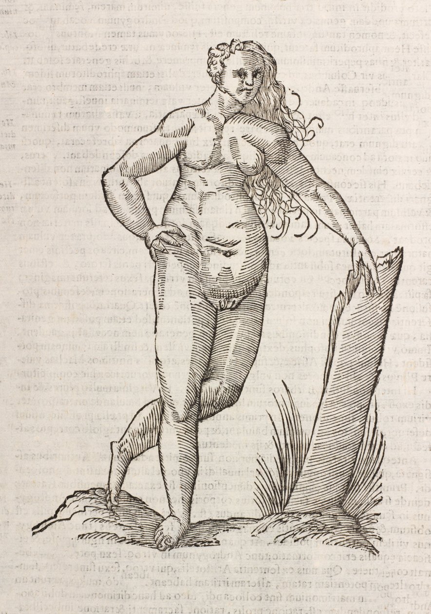 Androgynos de Unbekannt