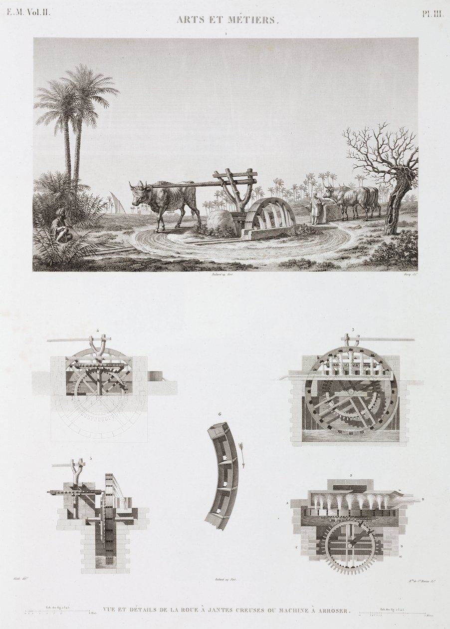 Poder Animal Irrigação movida a animais, Egito, c 1798 de Unbekannt