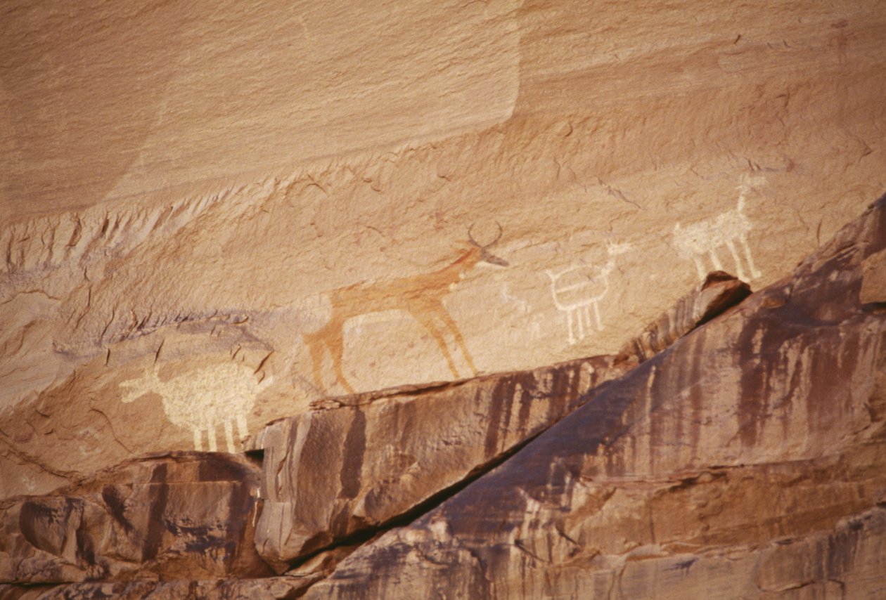 Figuras de animais, pinturas rupestres de artistas Navajo, Monumento Nacional Canyon de Chelly, Reserva Indígena Navajo, Arizona, EUA de Benjamin Baud