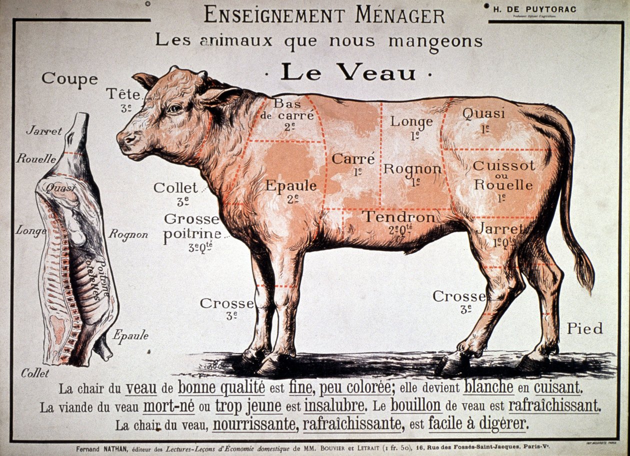 Animais que comemos: o vitelo, c. 1910 (impressão) de Unbekannter Künstler