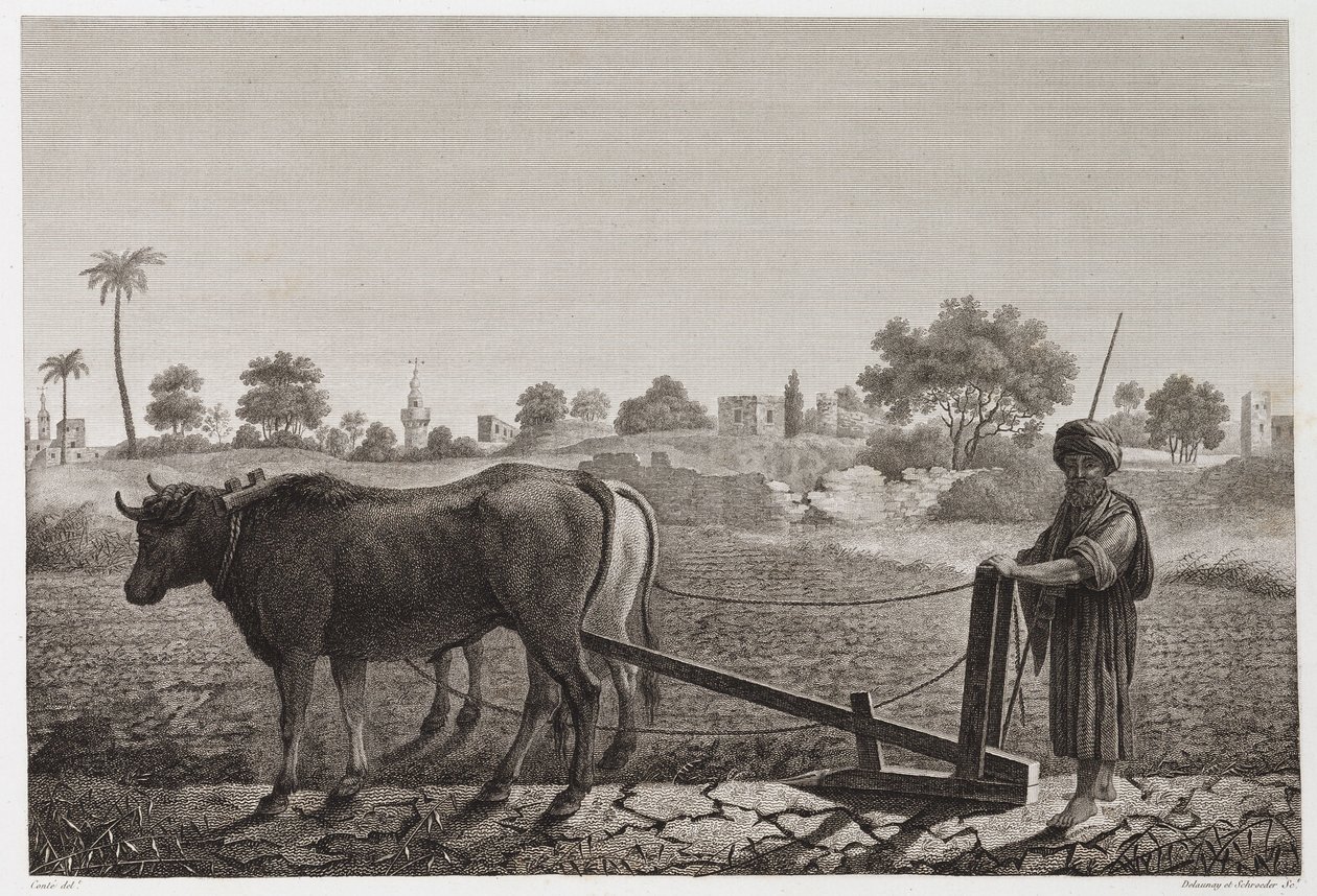 Lavoura Arável, Lavoura com bois, Egito, c 1798 de Unbekannt