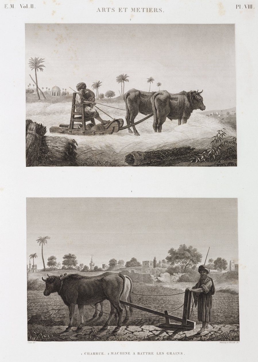 Arable Farming, Ploughing Threshing machine and plough, Egypt, c 1798 de Unbekannt