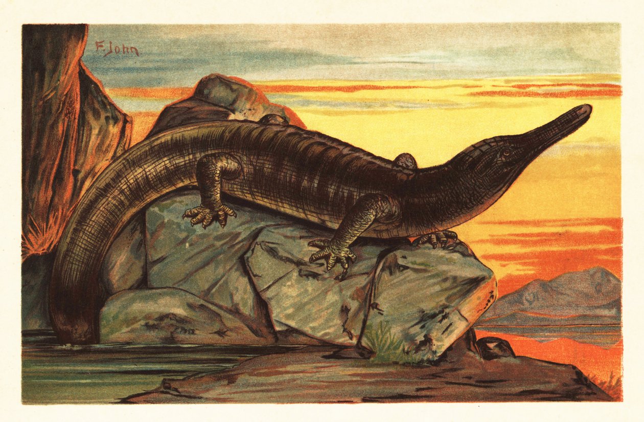 Archegosaurus decheni baseando-se numa rocha.1908 (litografia) de Unbekannter Künstler