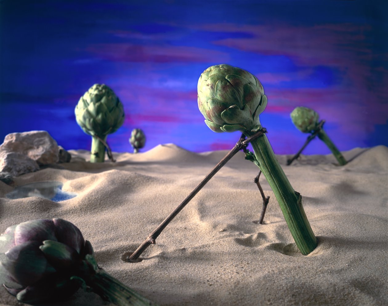Alcachofra artística (Dali) 1996 (foto) de Unbekannter Künstler