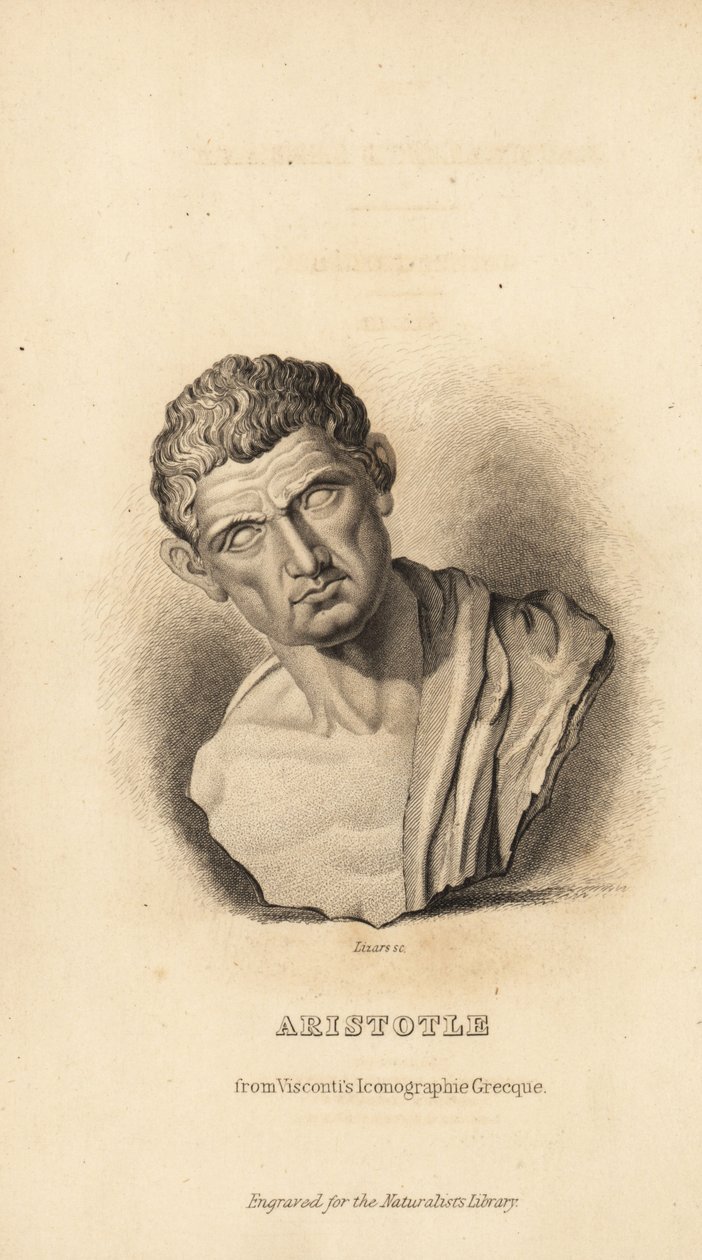 Artistotle, filósofo e naturalista grego, 384-322BC de Unbekannt