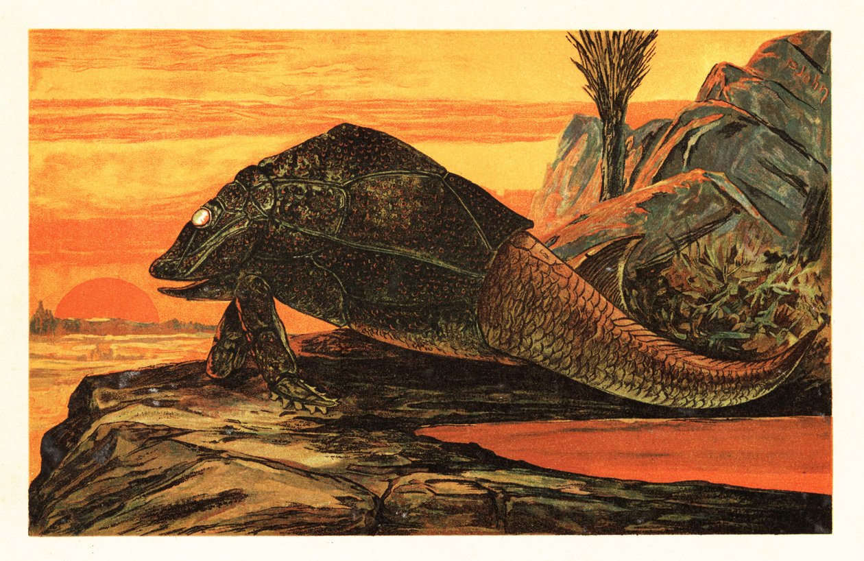 Asterolepis cornutus, espécies extintas de peixes blindados.1908 (litografia) de Unbekannter Künstler
