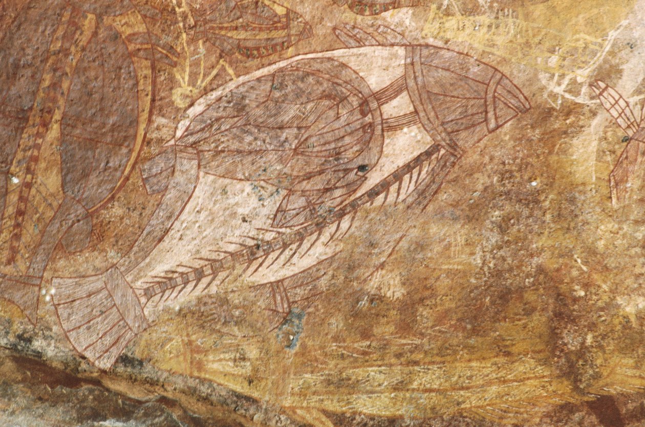Austrália, Território do Norte, Terra de Arnhem, Parque Nacional de Kakadu, Rocha Obiri, pinturas rupestres aborígines de Benjamin Baud