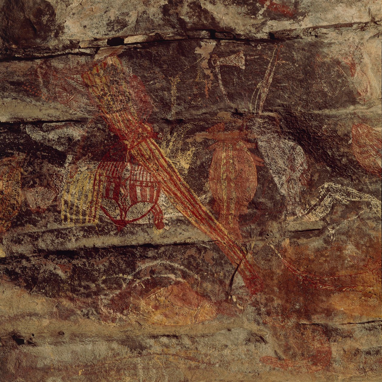 Austrália, Território do Norte, Terra de Arnhem, Parque Nacional de Kakadu, Rocha Obiri, pinturas rupestres aborígines de Benjamin Baud