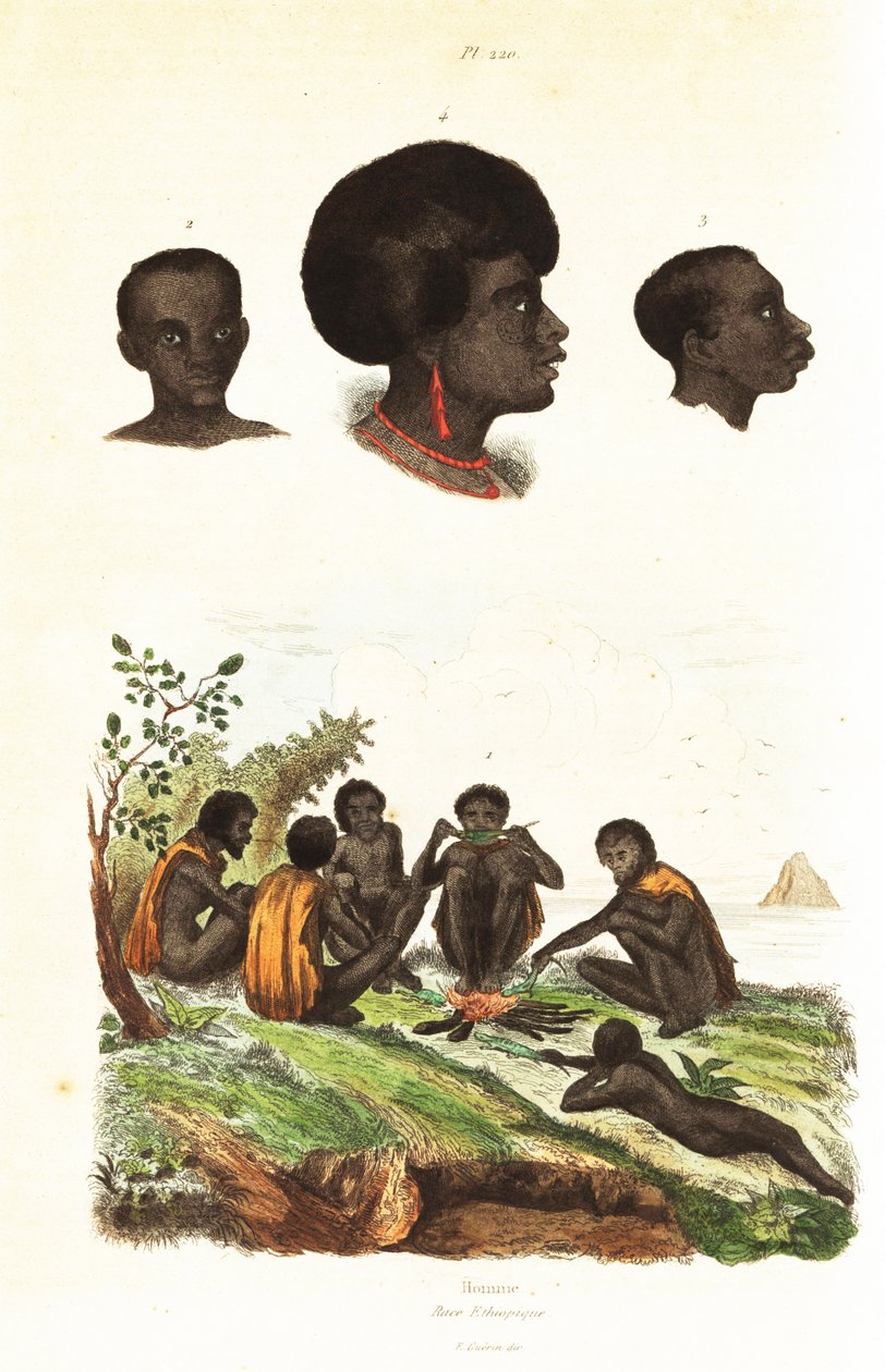 Aborígenes australianos e cabeças de nativos de Waigeo, Papua Ocidental1834-1839 (gravura) de Unbekannter Künstler