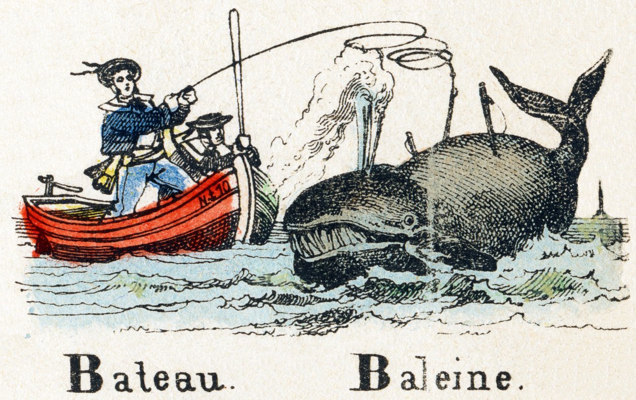 B - Bateau Whale - Alfabeto - entretenimento infantil - Imagem epinal, série popular c.1890 (ilustração) de Unbekannt