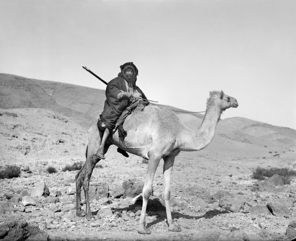 Beduíno montado num camelo, c.1936 (foto a p/b) de Unbekannt