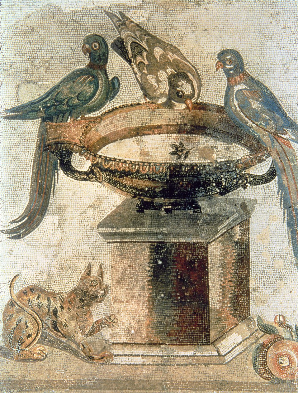 Pássaros e um gato de emboscada, de Pompeia de Unbekannter Künstler