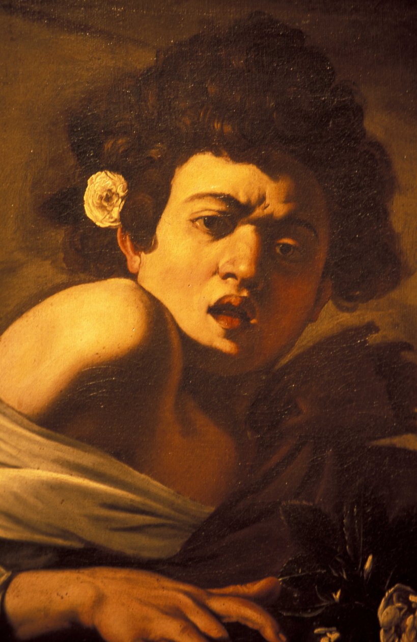 Rapaz mordido por um lagarto (detalhe), Caravaggio obra de arte, Palazzo Ducale, Génova, Ligúria, Itália de Unbekannt