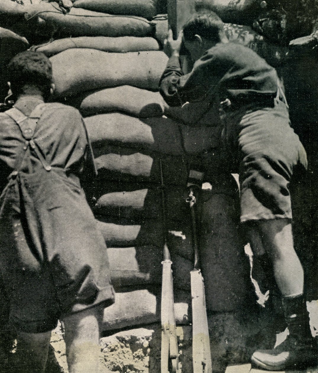 Tropas britânicas a lutar em calções de Khaki-drill, Península de Gallipoli de Unbekannt