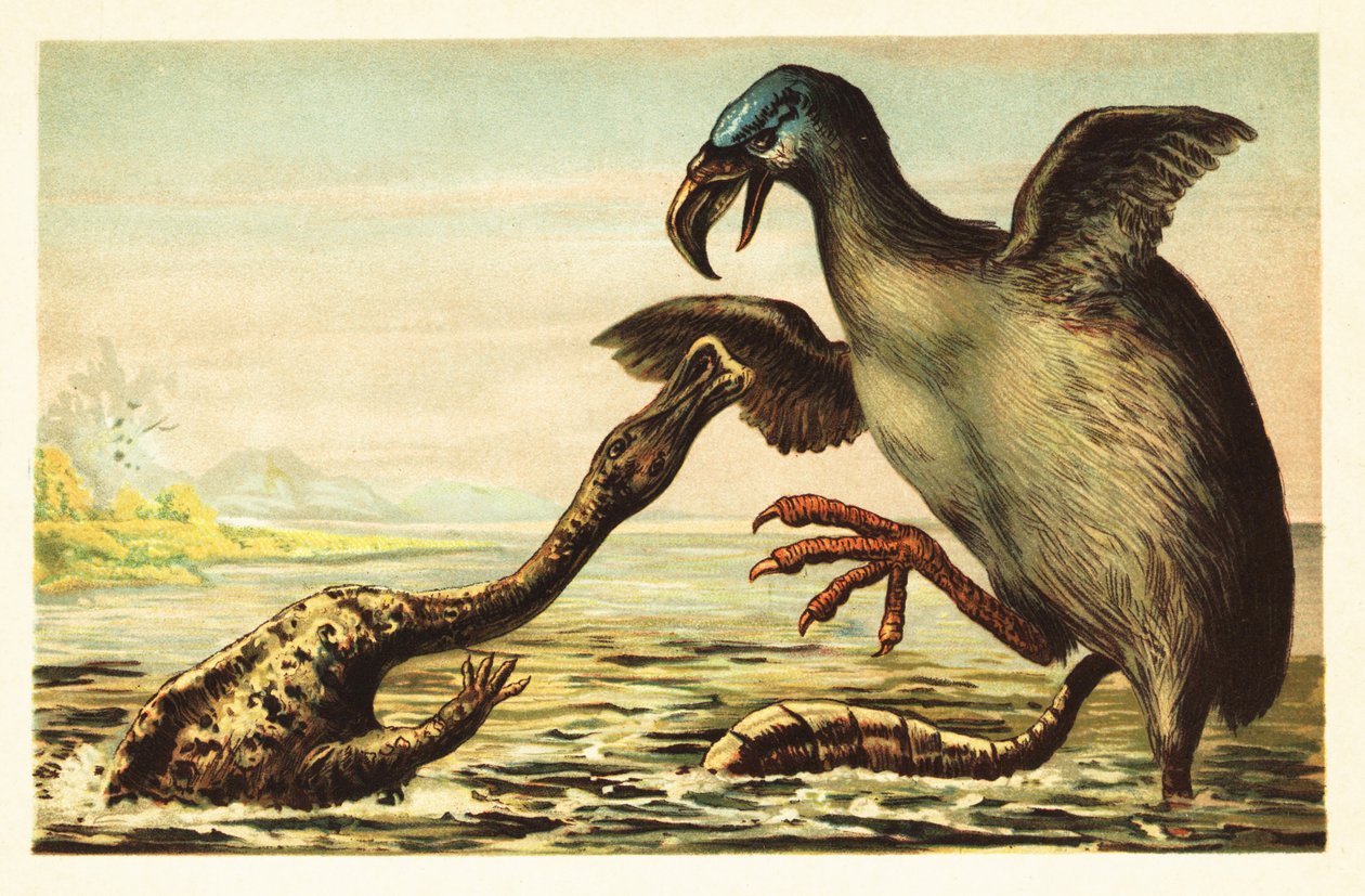 Brontornis lutando contra um Hadrosaurus. 1908 (litografia) de Unbekannter Künstler