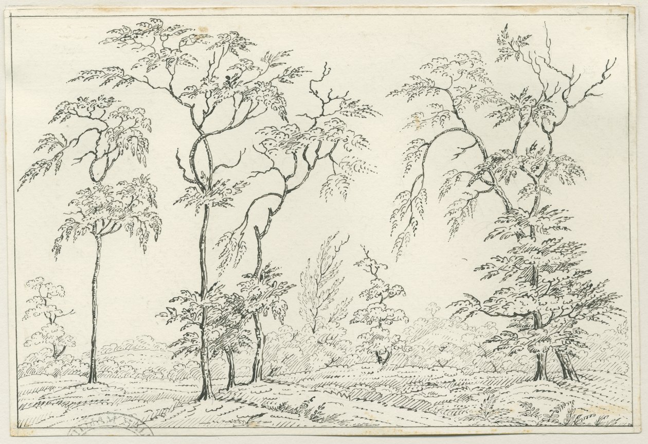 Cannock Chase: desenho a caneta e lápis, séc. XIX de Unbekannt