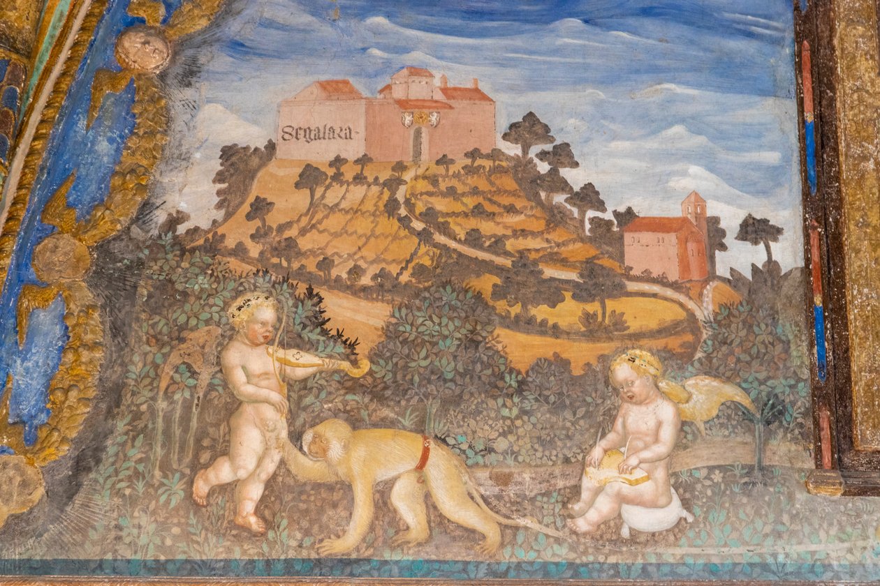 Castelo de Torrechiara, Camera d
