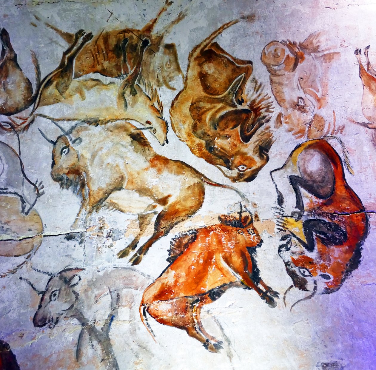 Pinturas rupestres encontradas na Caverna de Altamira (foto) de Unbekannter Künstler