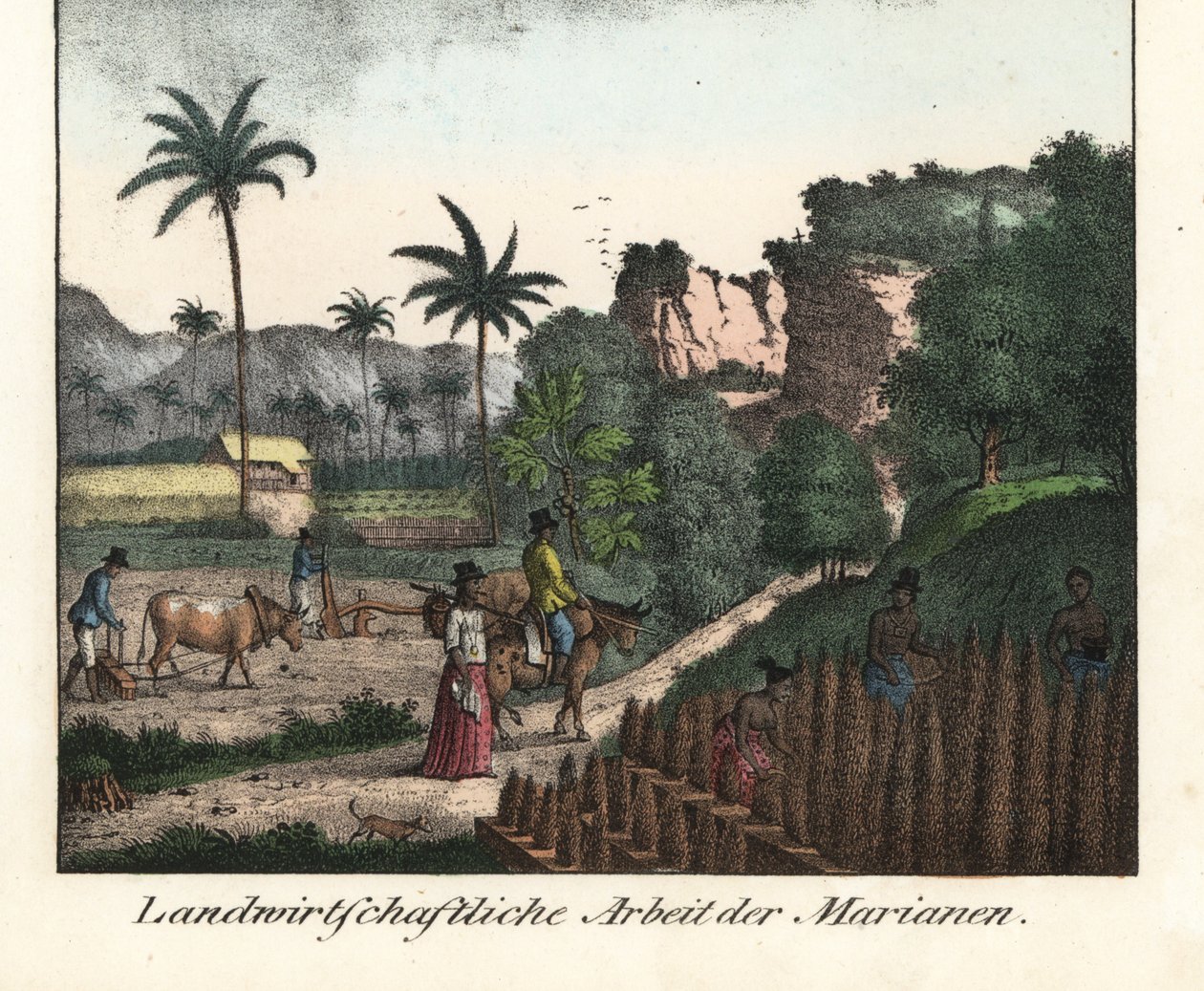 Agricultores Chamarro a lavrar um campo e a esculpir fileiras de plantações no Arquipélago das Marianas (EUA). Ilustração de Viagem à volta do mundo (1824) de Louis de Freycinet (1779-1842). Litografia para o livro: "Galerie complete en tableaux fideles de de Unbekannter Künstler