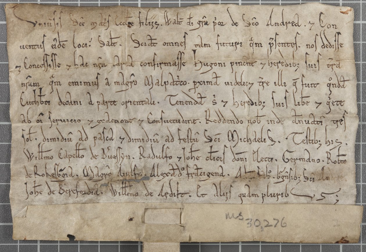 Carta de Walter, Prior de St Andrews de Unbekannt