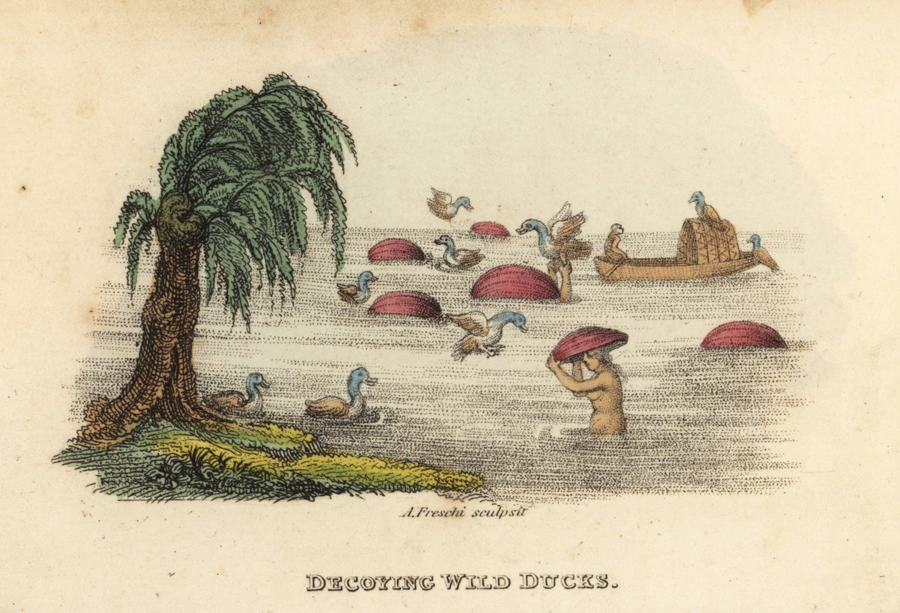 Homens chineses a caçar patos selvagens com chapéus de cabaça de engodo no rio, dinastia Qing. Gravura em chapa de cobre colorida à mão, de Andrea Freschi, segundo Antoine Cardon, da obra de Henri-Leonard-Jean-Baptiste Bertin e Jean Baptiste Joseph Breton  de Unbekannter Künstler