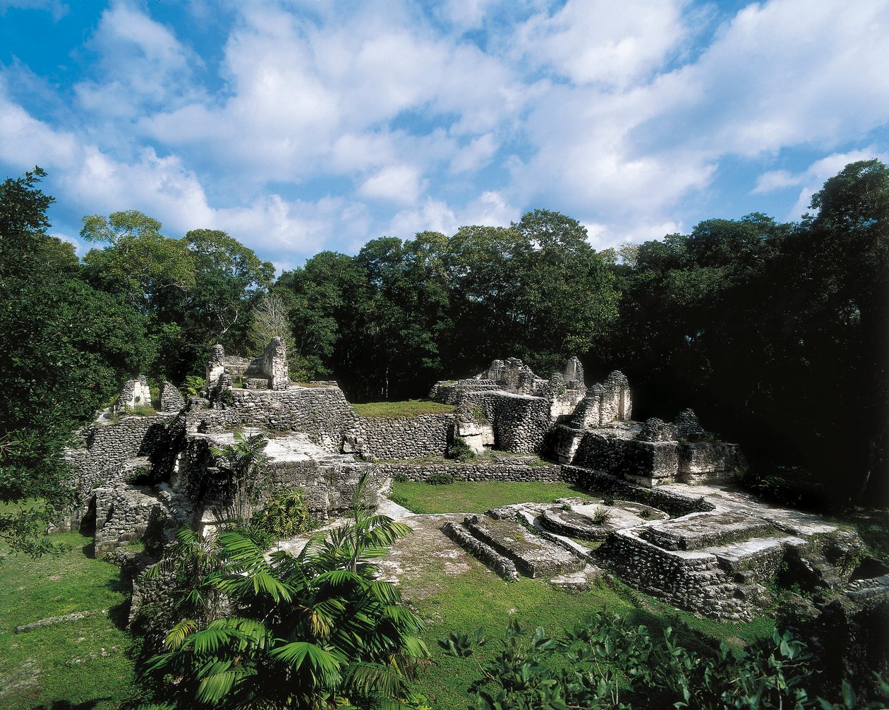 Civilização pré-colombiana: vista do sítio maia de Uaxactun (Grupo A). Petén, Guatemala. de Alec Hunter