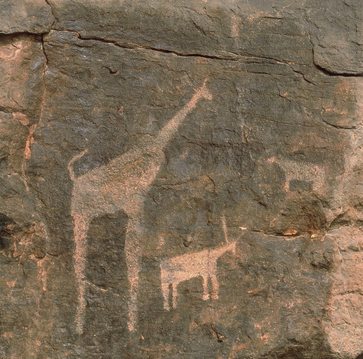 Grande plano de pinturas pré-históricas, Tenere Desert, Níger de Benjamin Baud