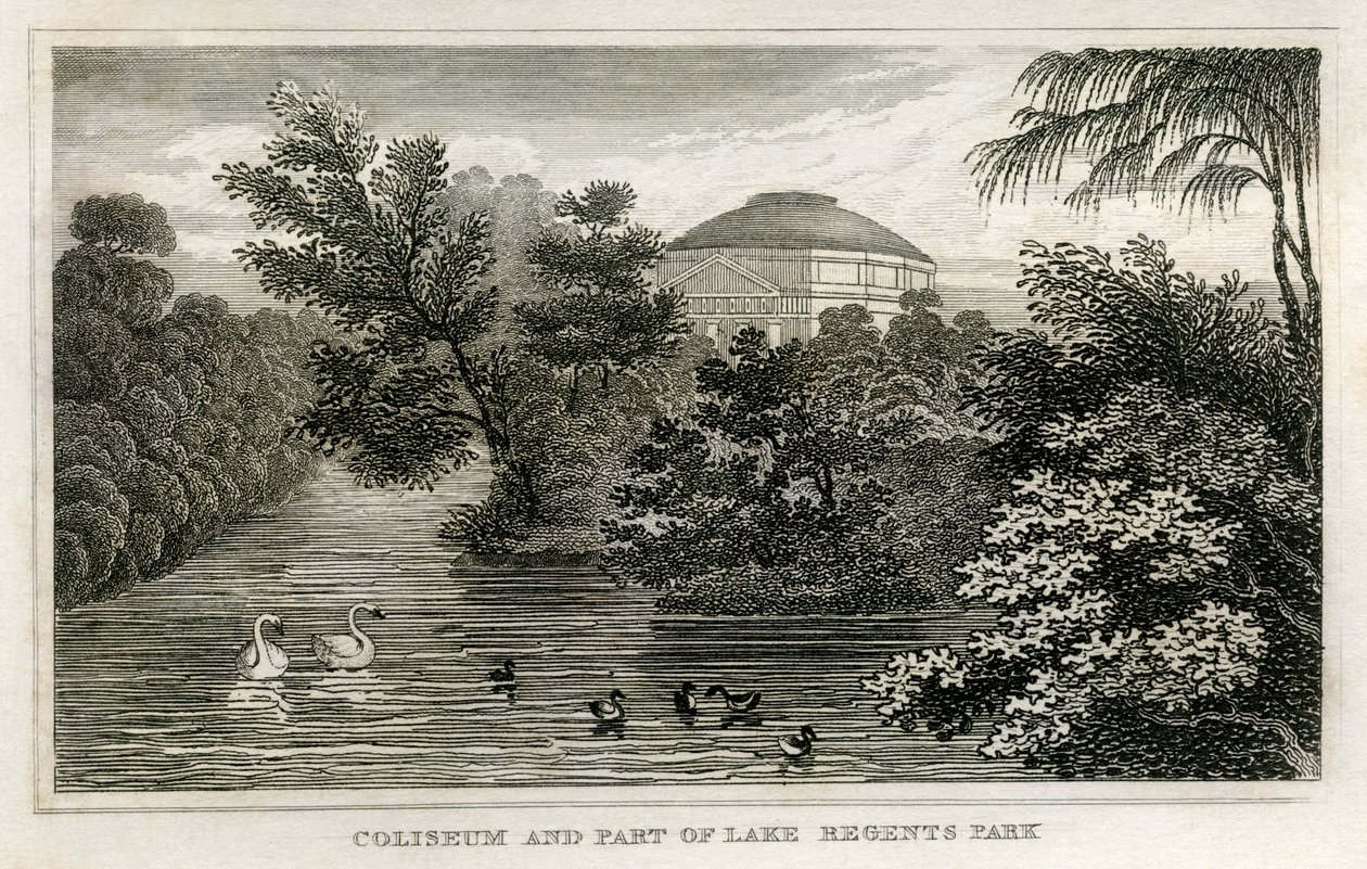Coliseu e lago, Regent