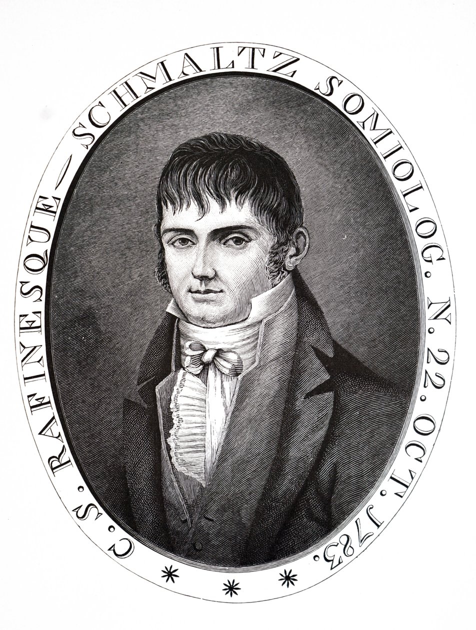 Constantino Samuel Rafinesque. de Unbekannt