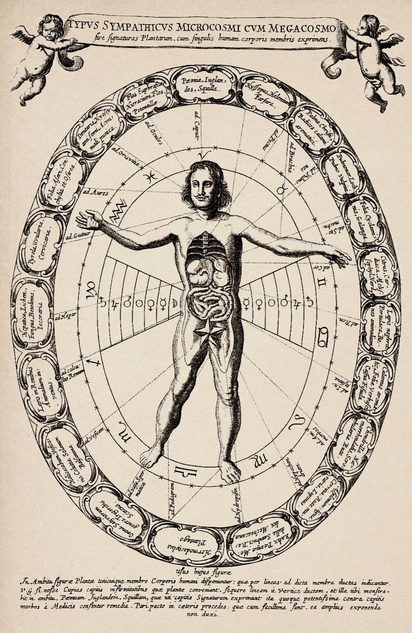 Correspondência entre o microcosmo e o macrocosmo. Placa extraída de "Mundus subterraneus" de Athanase Kircher (1601-1680) de Unbekannter Künstler