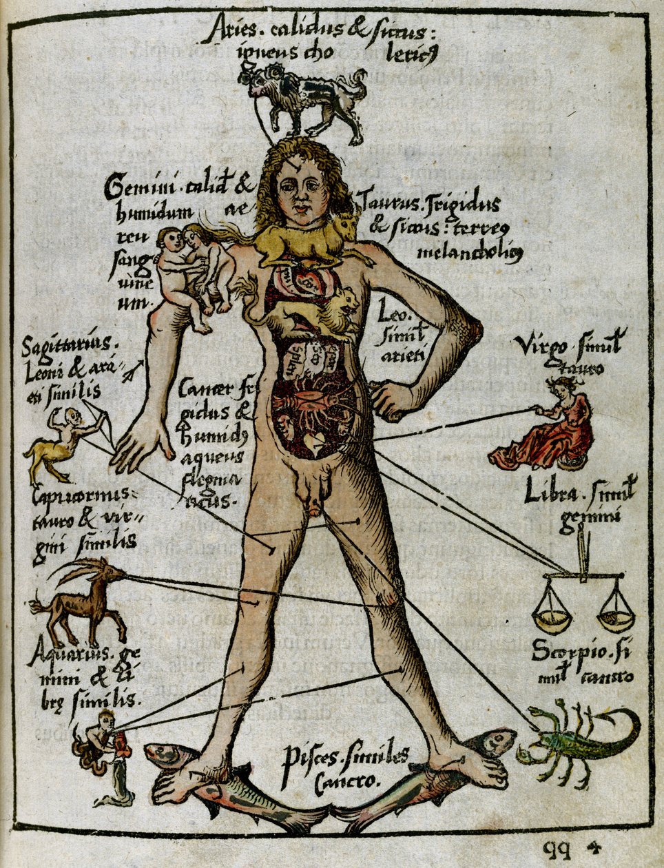 Cosmografia do século XVI: o homem zodiacal de Unbekannt
