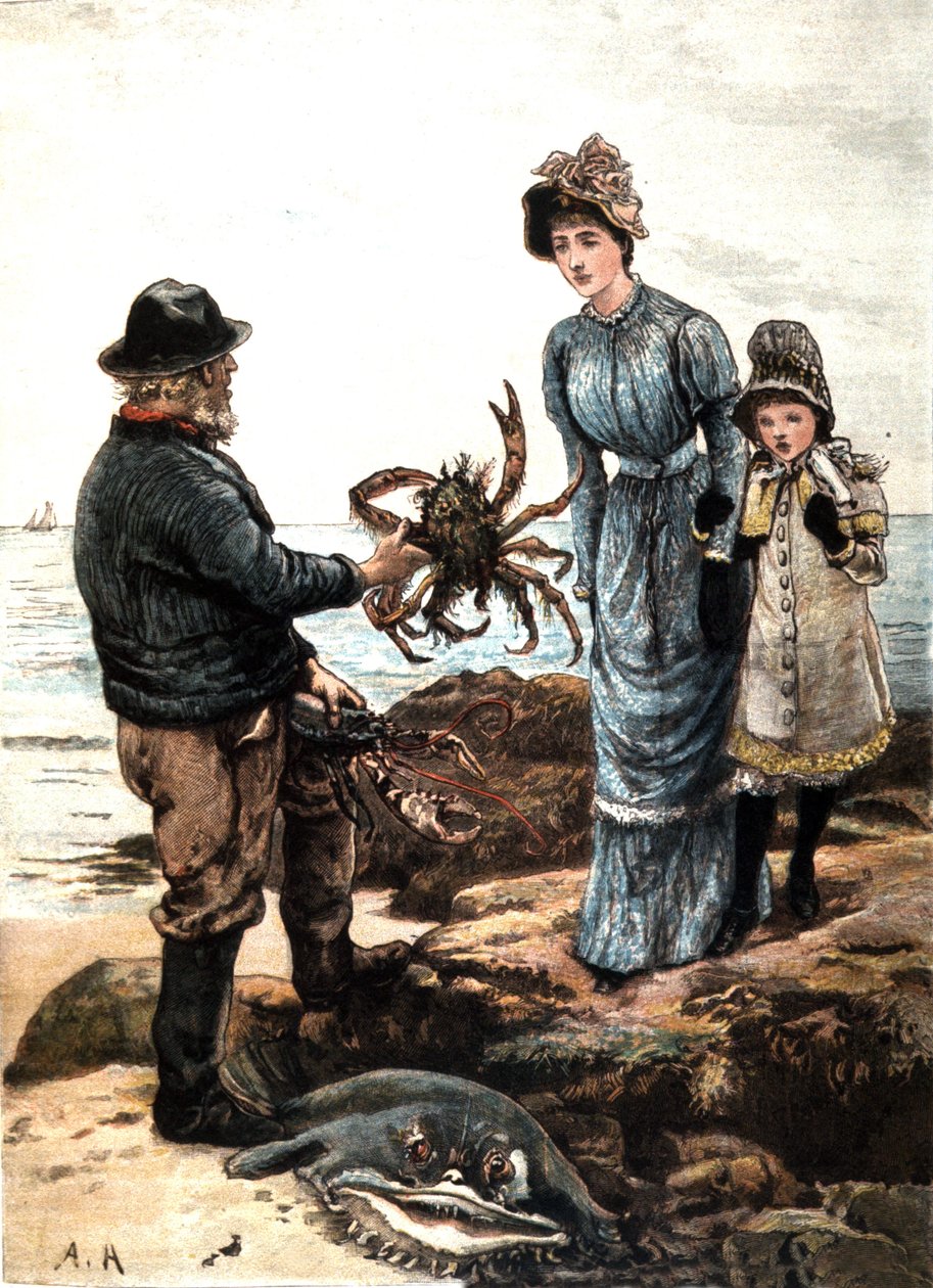 Pesca do caranguejo na costa inglesa (ilustração) de Unbekannter Künstler