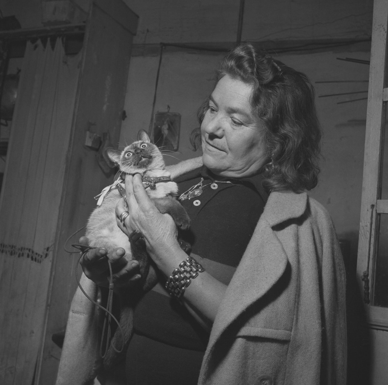 Ciclista Alfonsina Strada (Alfonsa Rosa Maria Morini) de Unbekannter Künstler
