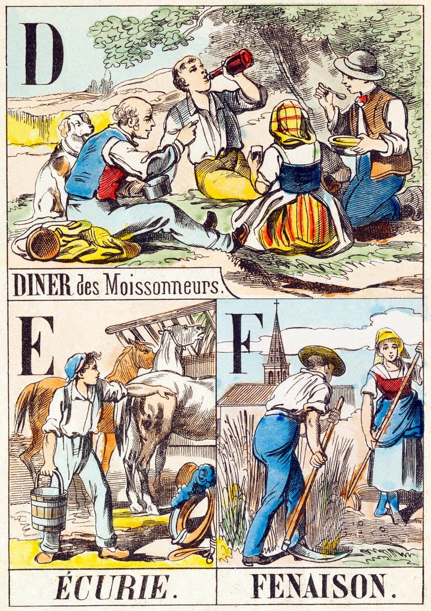 D E F : Diner des moissonneurs, Ecurie, Fenaison - "Alfabeto da fazenda" final do século XIX (gravura) de Unbekannt
