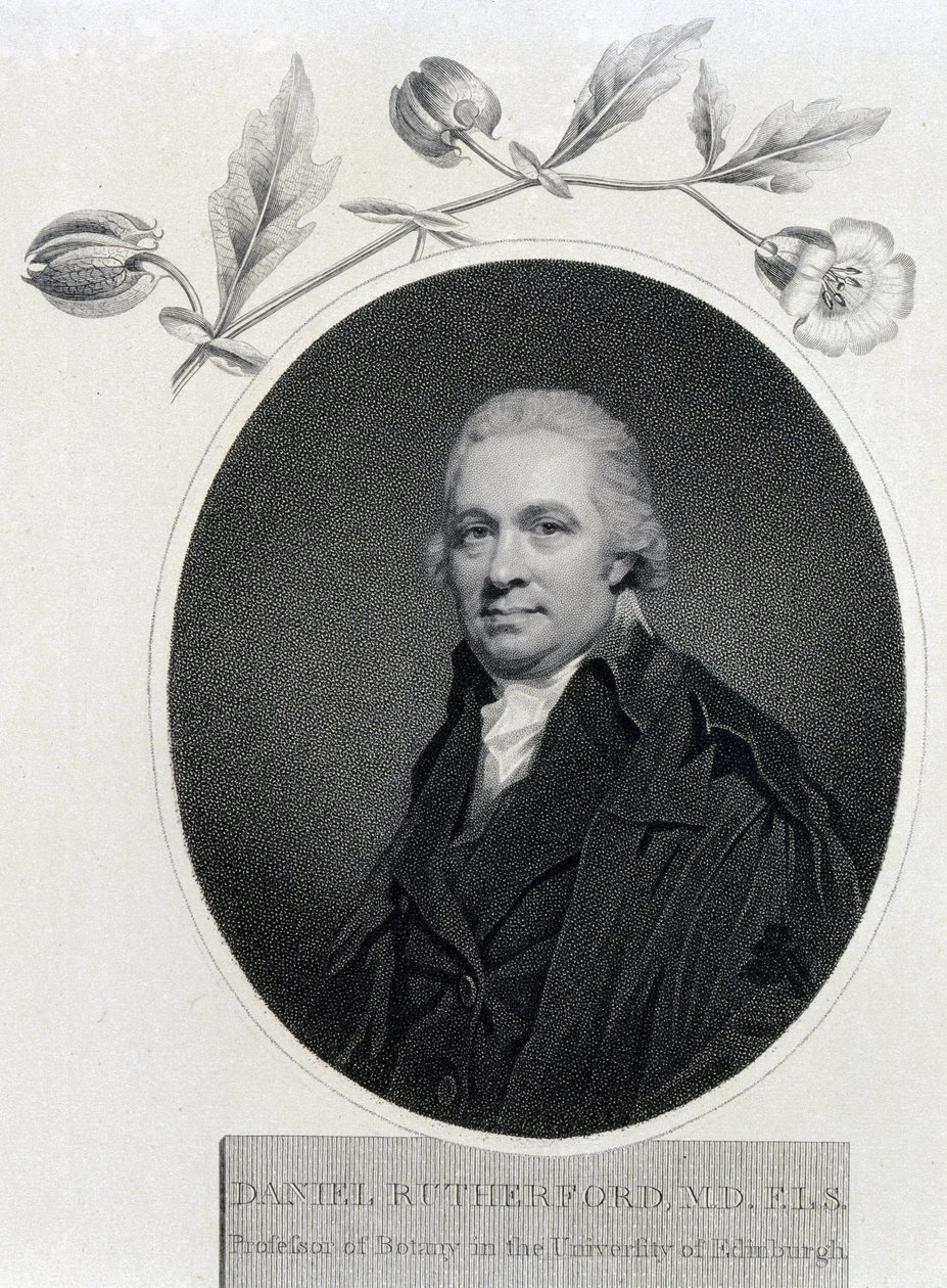 Daniel Rutherford, químico e botânico escocês, início do século XIX de Unbekannt