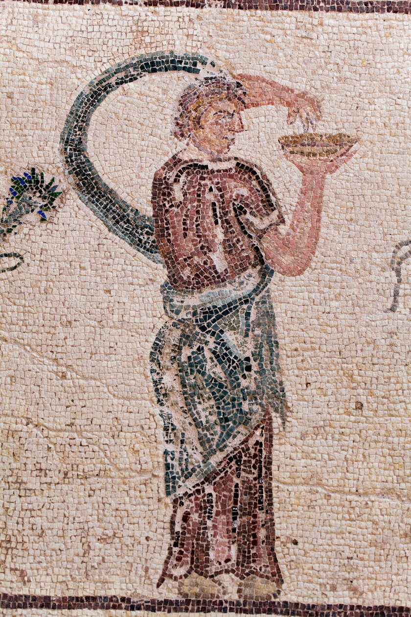 Detalhe do Triunfo de Dionísio - Retorno do deus de uma expedição militar à Índia - Um Baccante segurando uma tigela de libação - Mosaicos Paphos, Casa de Dionísio, Fim do Século II d.C. - Chipre - O triunfo de Dionísio - Longo mosaico retratando o tri de William M. Timlin