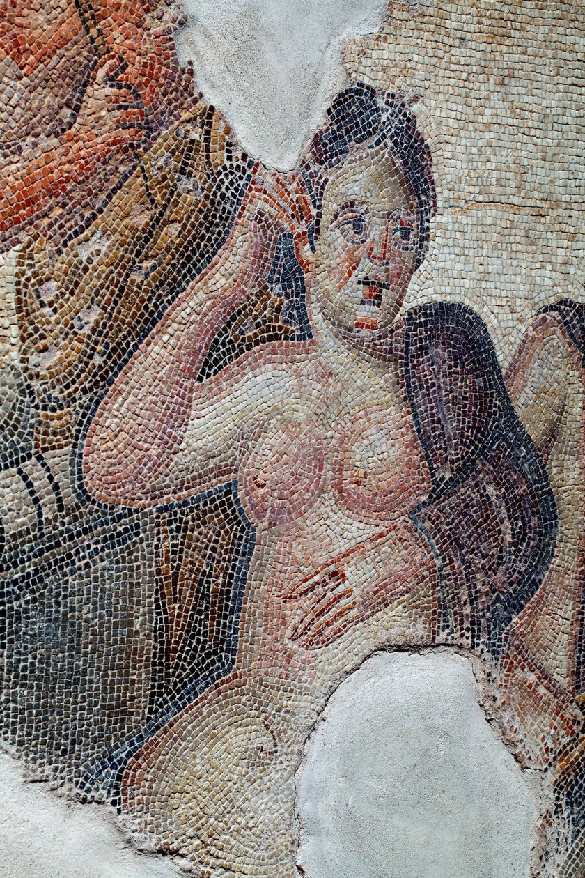 Pormenor do painel que mostra Leda, rainha de Esparta, na companhia das raparigas lacedemónias, prestes a tomar um banho no rio Eurotas - É abordada por Zeus disfarçado de cisne - Mosaicos de Pafos, Casa de Aion, século III d.C. - Chipre - D de Unbekannter Künstler