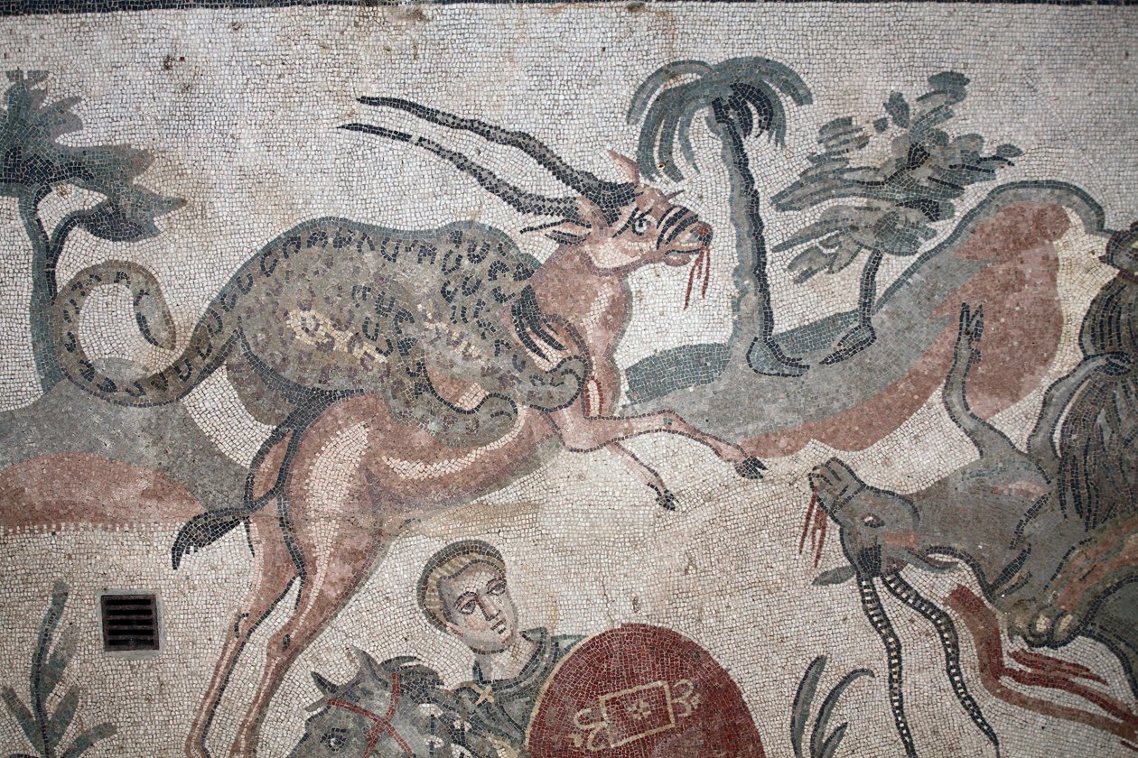 Detalhe do grande mosaico de caça. Um ataque de leopardo a uma gazela. Século III - IV. Villa Romana do Casale, Sicília. Site da UNESCO. de William M. Timlin