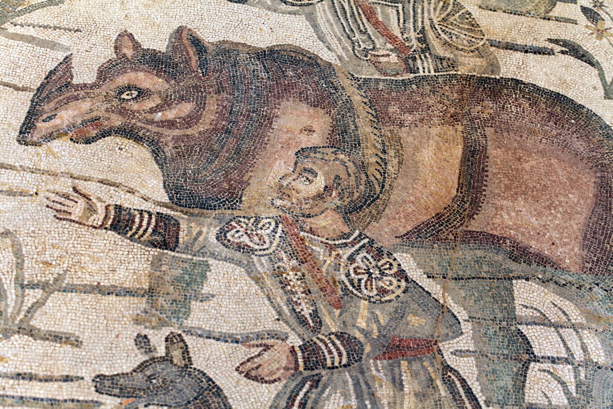 Detalhe do grande mosaico de caça. Um rinoceronte está sendo conduzido em um barco para ser transportado até o porto mais próximo. Século III - IV. Vila Romana do Casale, Sicília. Site da UNESCO. de William M. Timlin