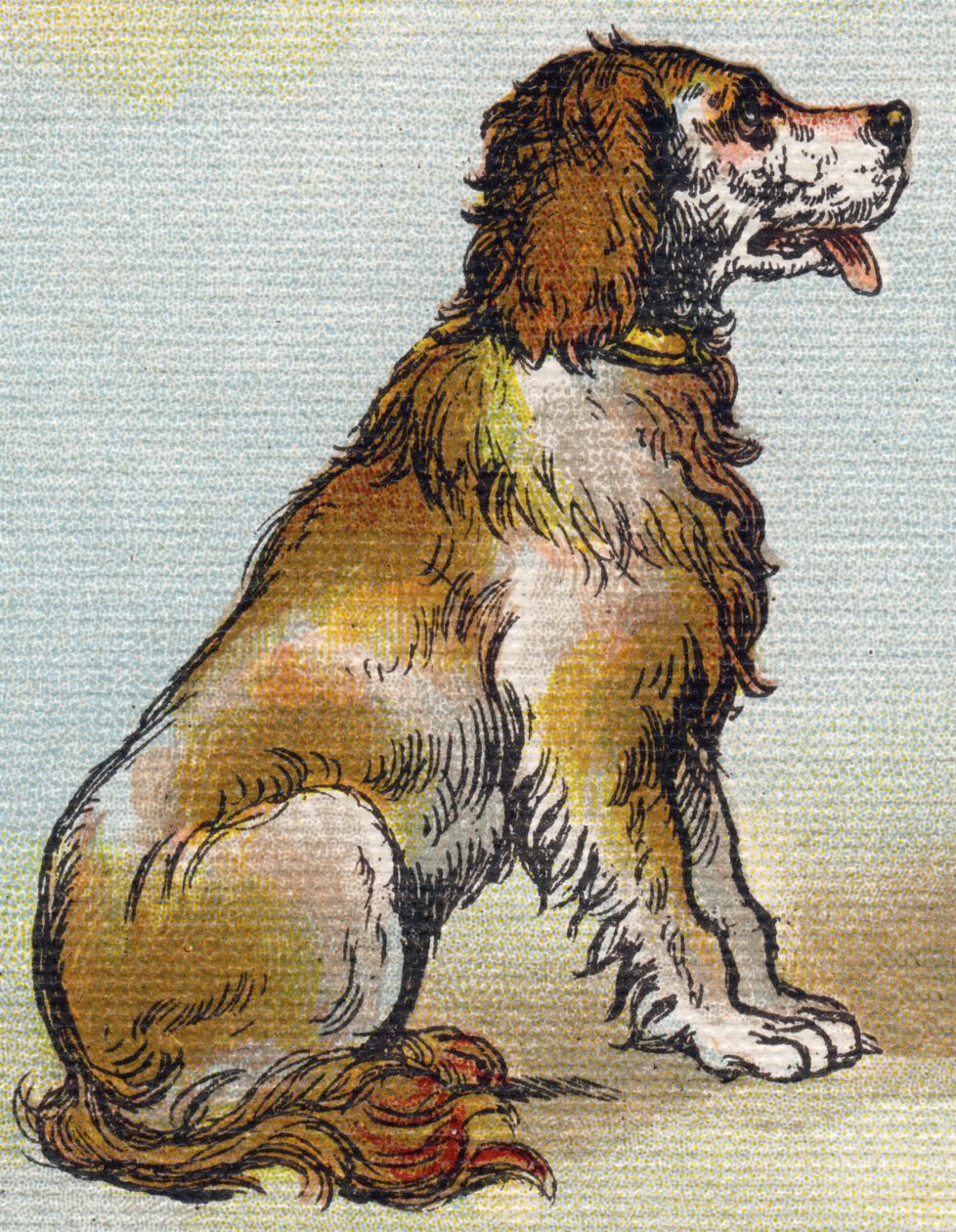 Cão. Gravura em "Alfabeto de ma petite fille". Bernardin-Bechet e Fils, livreiro-editores, Paris, por volta de 1895. Álbum inquebrável em lona. Bibliotheque des Bebes. 12 páginas. Álbum contendo um método de leitura e um abecedário ilustrativo. Dim: 29,5 de Unbekannt