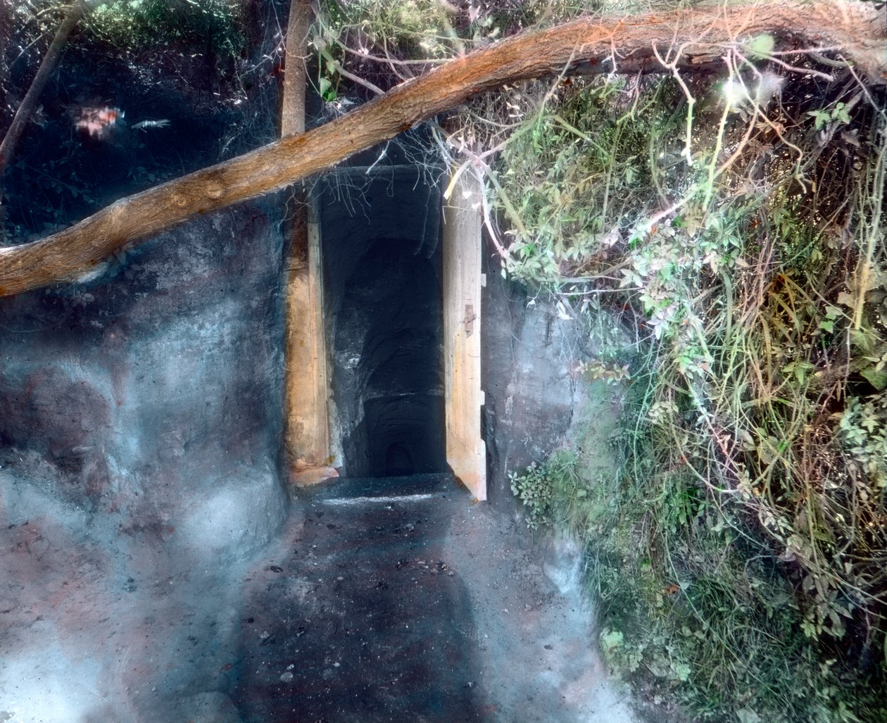 Gruta do cão perto de Nápoles - cães engasgam-se com dióxido de carbono e homem sobrevive de Unbekannter Künstler