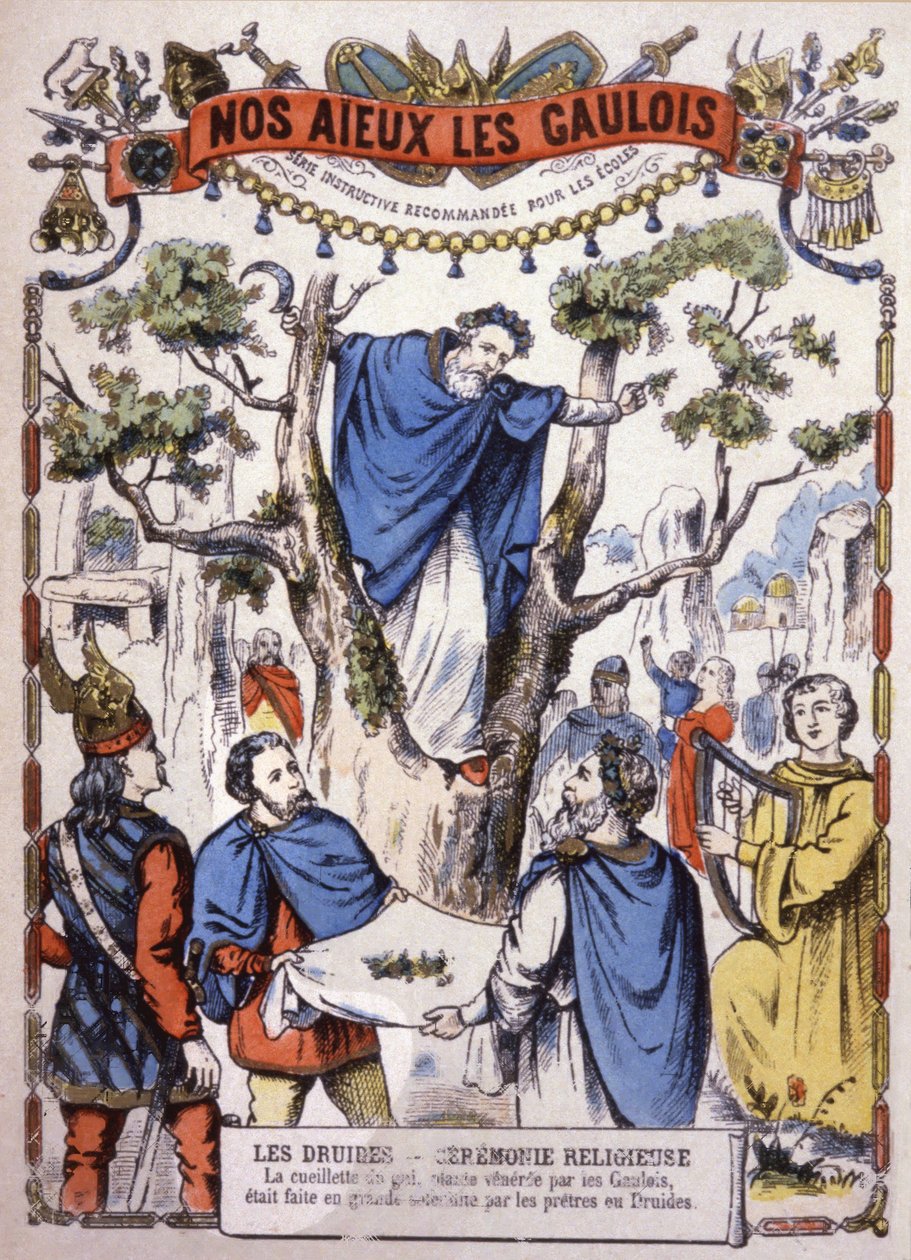 Druidas a apanhar visco, c. 1900 (ilustração) de Unbekannter Künstler