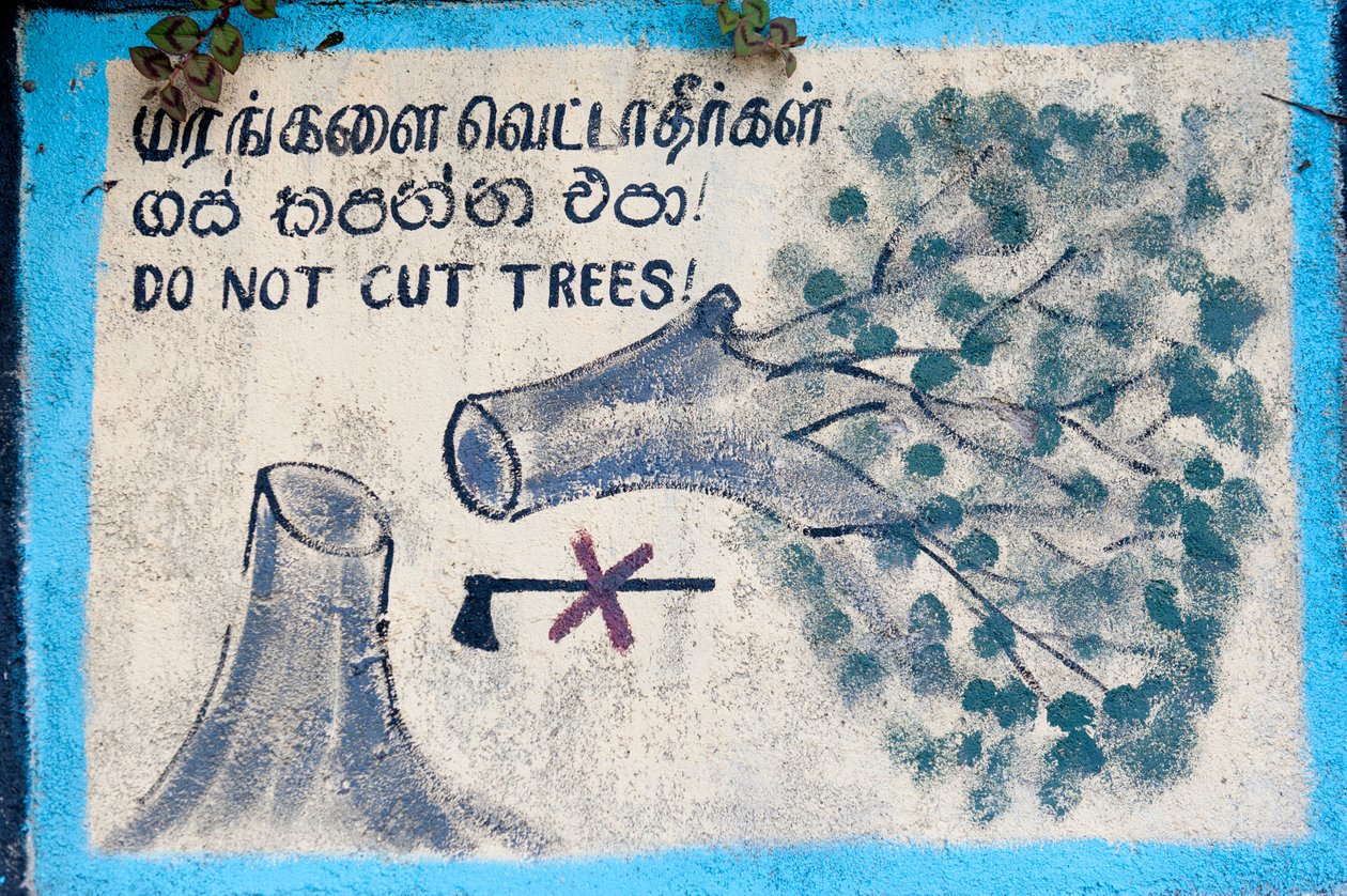 Proteção ambiental; placa pintada; "" Não cortar árvores" representando uma árvore cortada e um machado cruzado; Nuwara Eliya; Sri Lanka; Ásia de Unbekannt