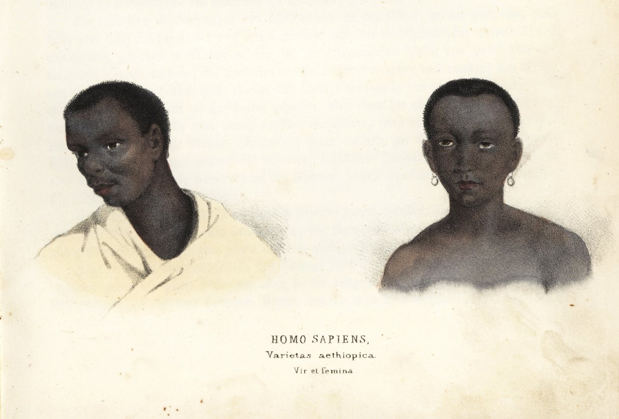 Homem e mulher etíopes. Gravura em metal aço colorida à mão da Galeria de História Natural de Georg Friedrich Treitschke, Naturhistorischer Bildersaal des Thierreiches, Liepzig-1842. de Unbekannter Künstler