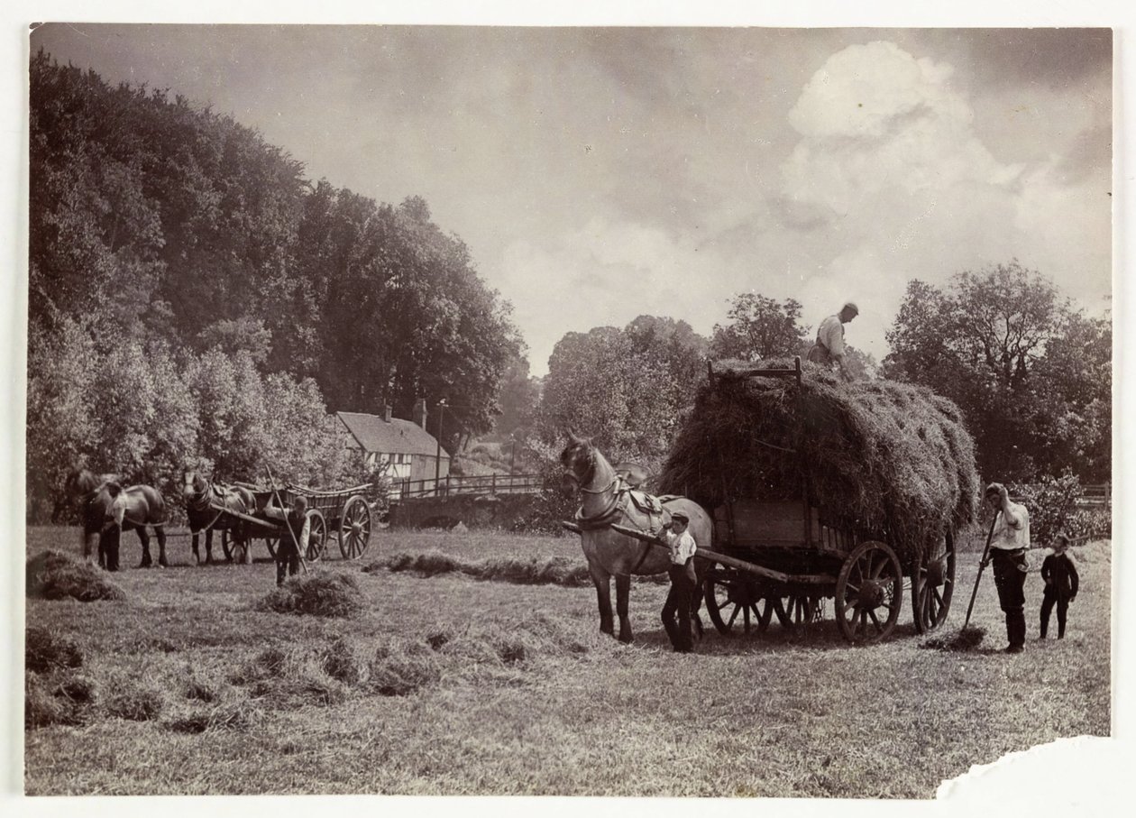 Cenas de Agricultura, Colheita e Armazenamento, Pré-1900 Haymaking, c 1890 de Unbekannt