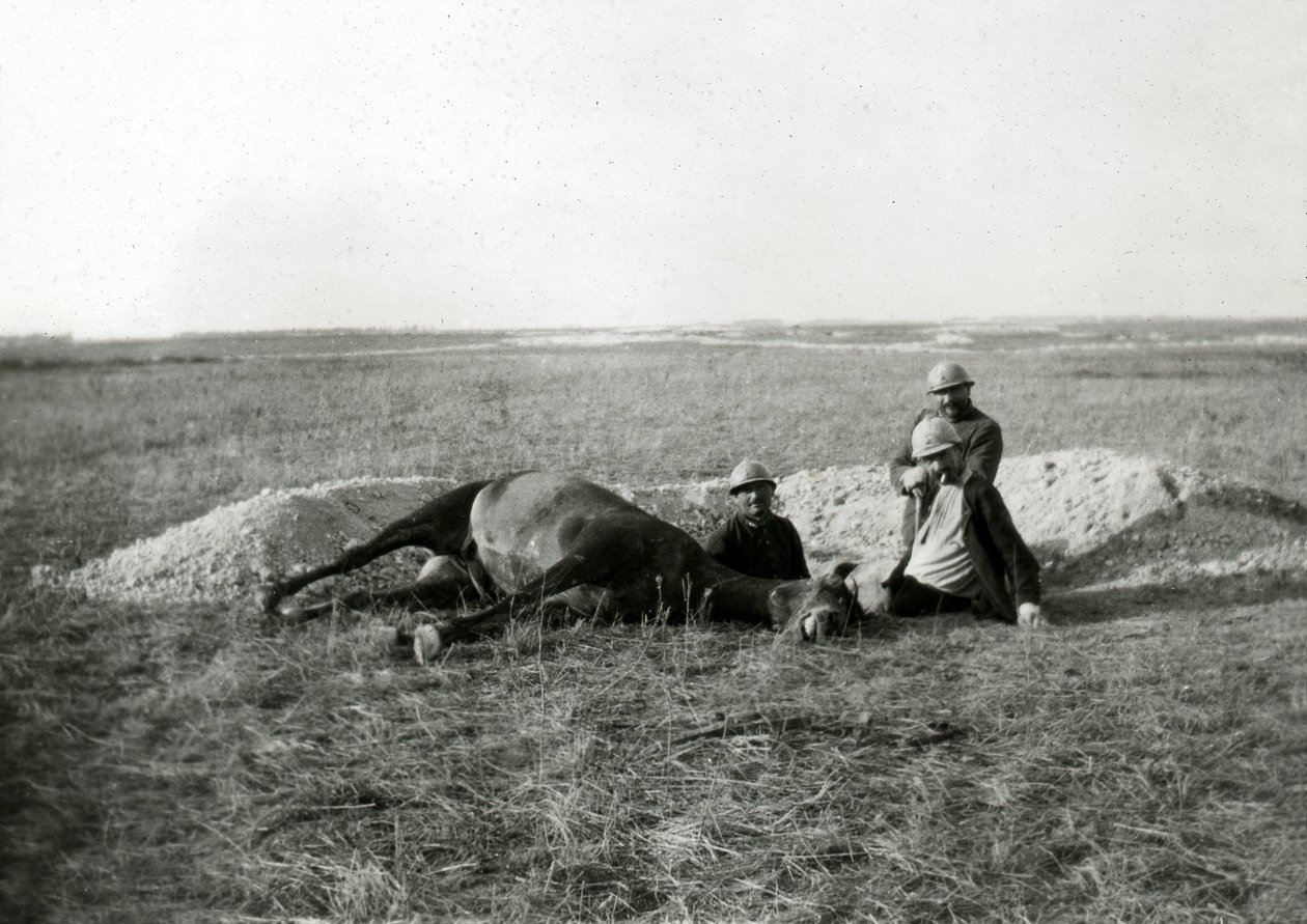 Primeira Guerra Mundial 14-18 (1914-1918): três soldados franceses enterram um cavalo morto - fotografia em chapa de vidro - de Unbekannter Künstler